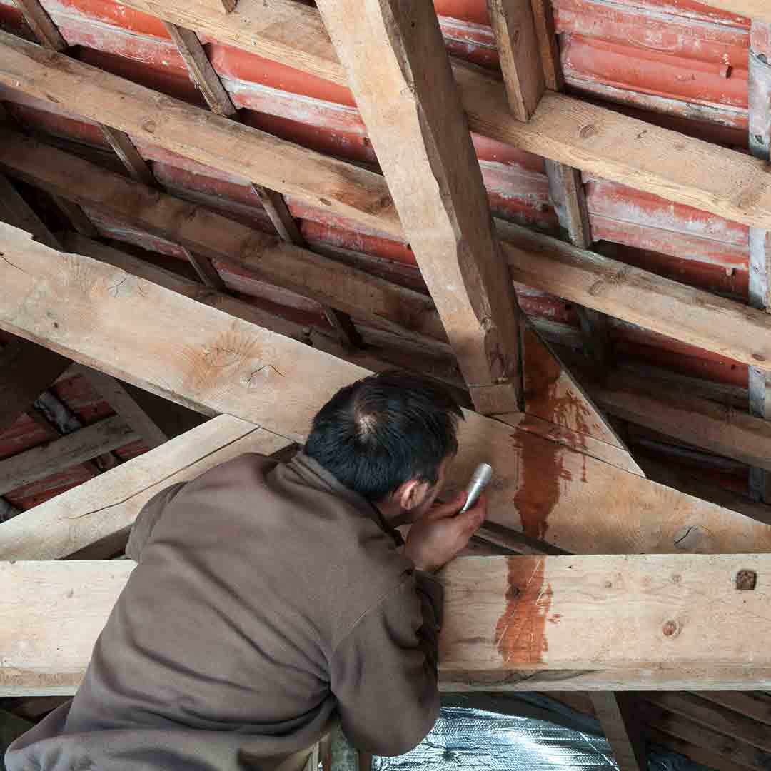 person inspecting attic rafters