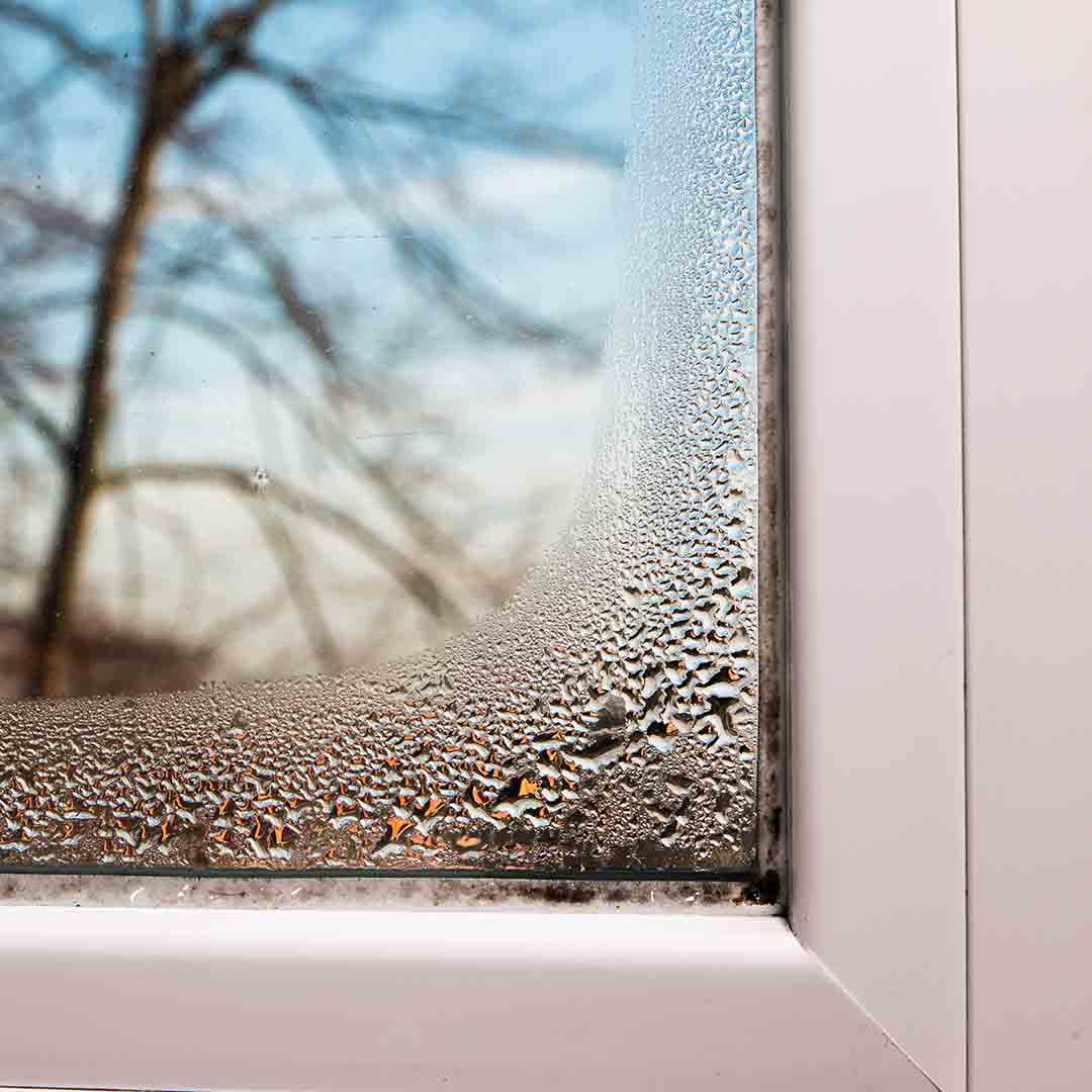 Condensation between window panes.