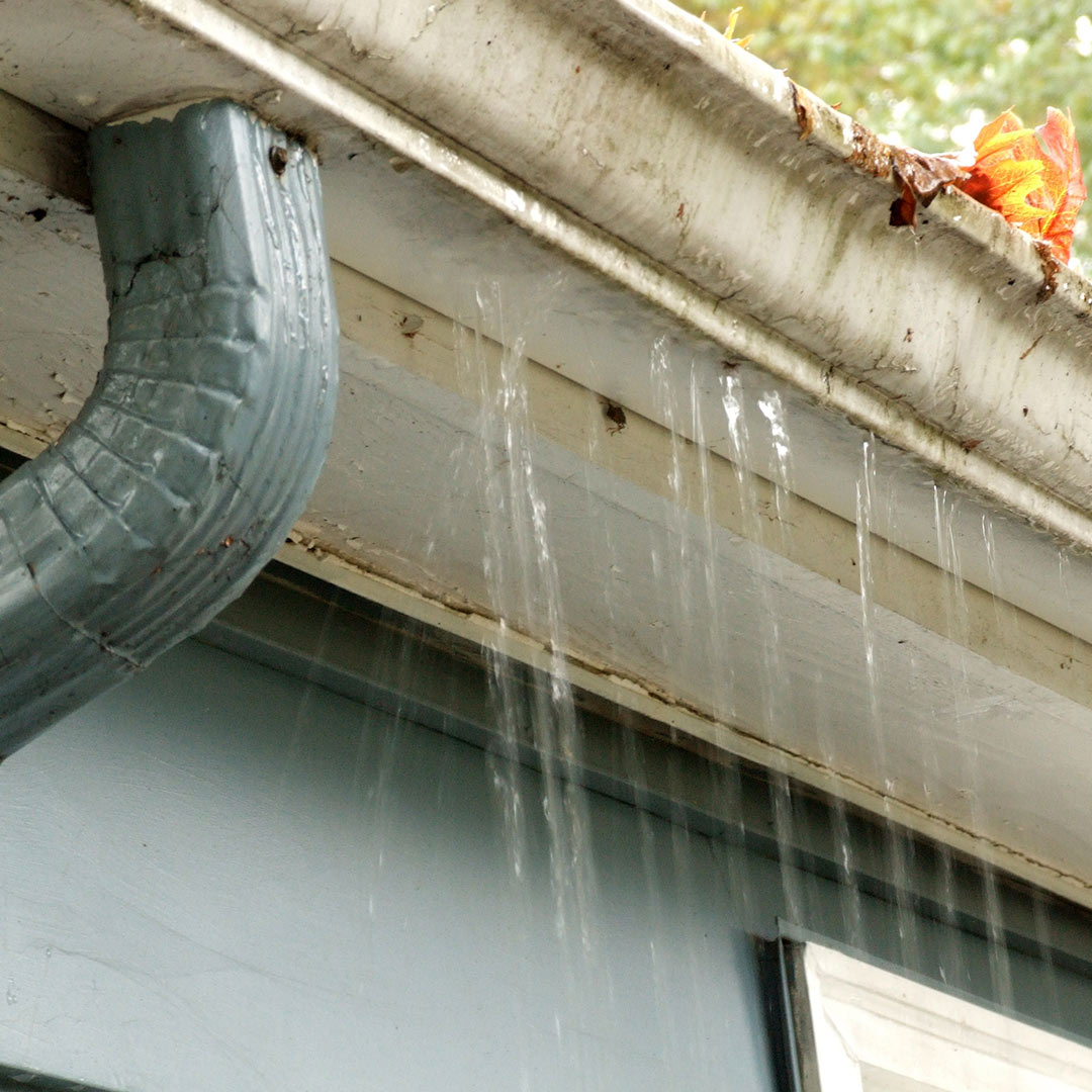 old, clogged gutter leaking water