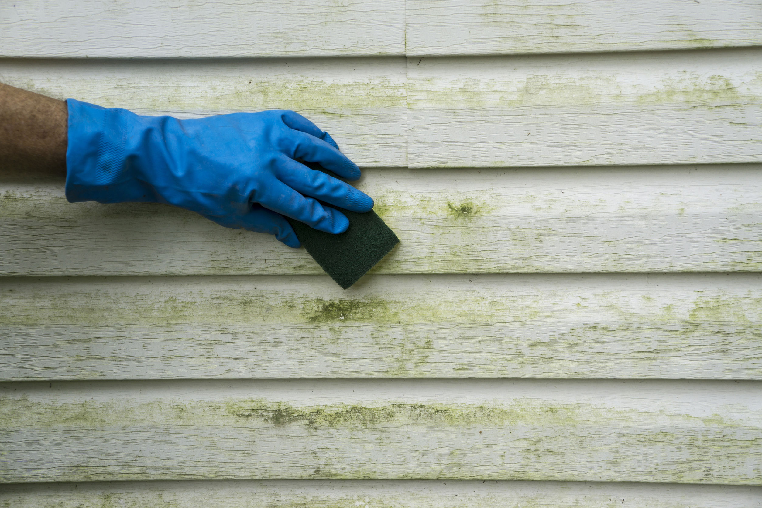 siding cleaning