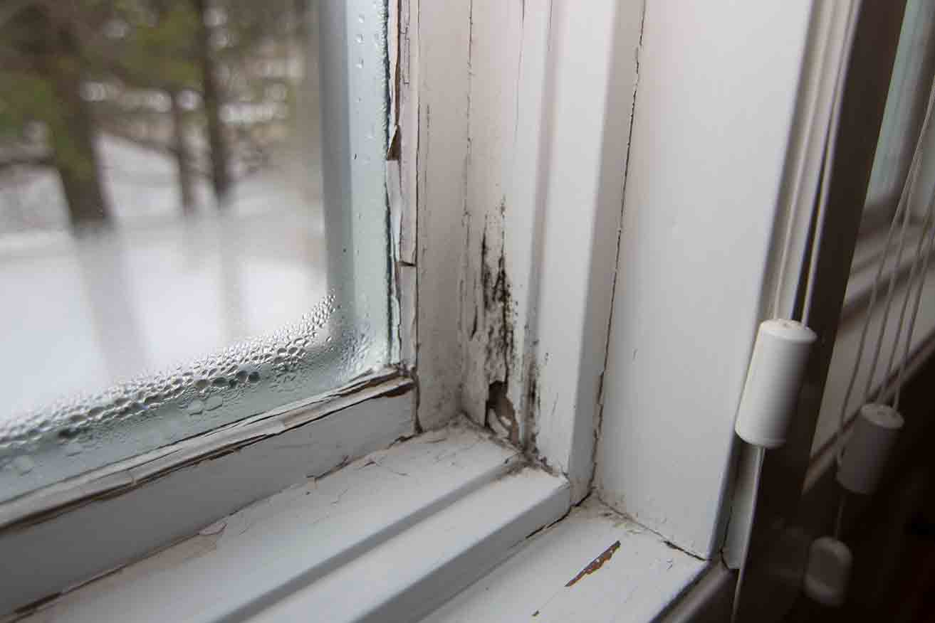 A Window with Condensation